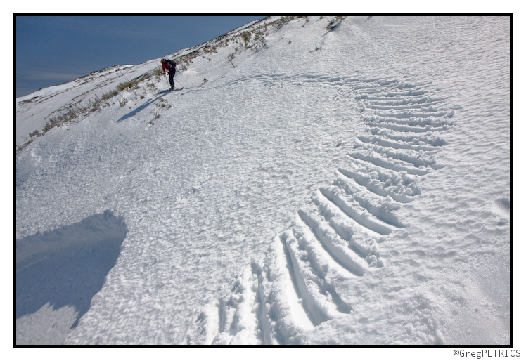 sobering avalanche crown