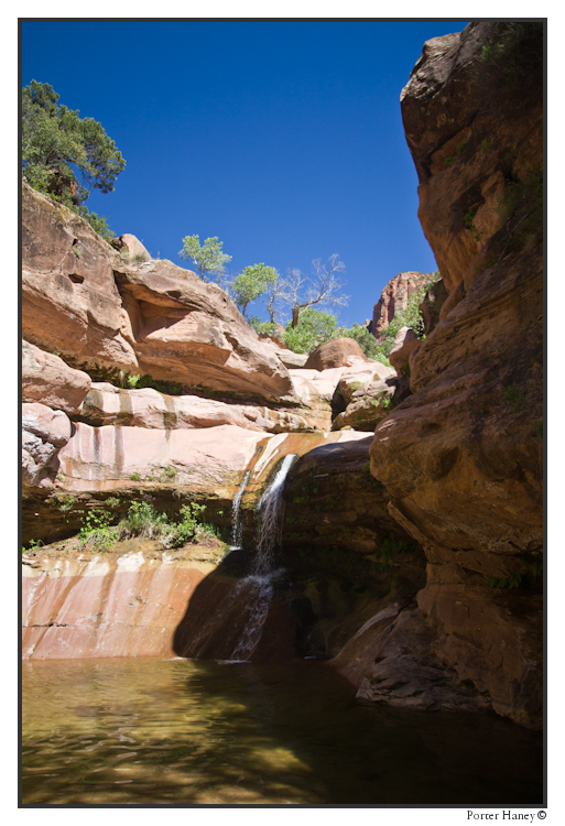 a trickle of water worth swimming in near Zion