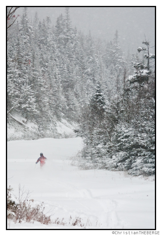 the skiing turkey