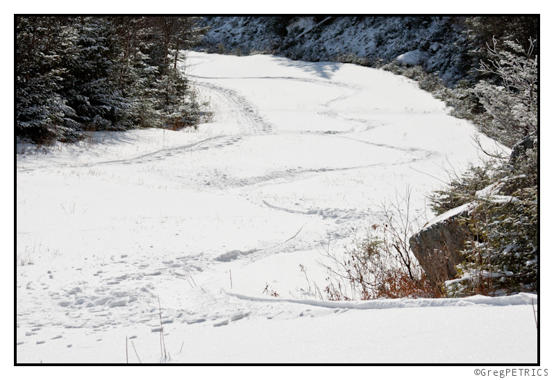 an auteur left ski tracks
