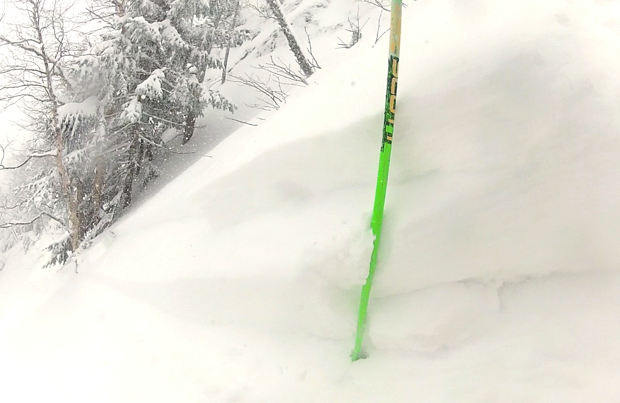 avalanche picture from Vermont