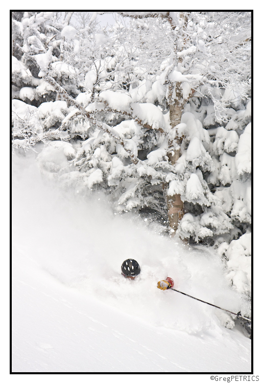 enjoy the mystery of powder skiing