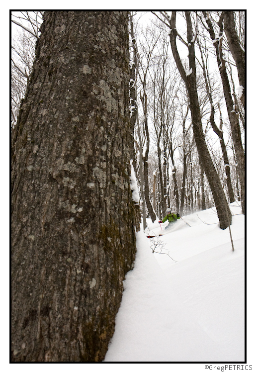 hardwood glade skiing in Vermont