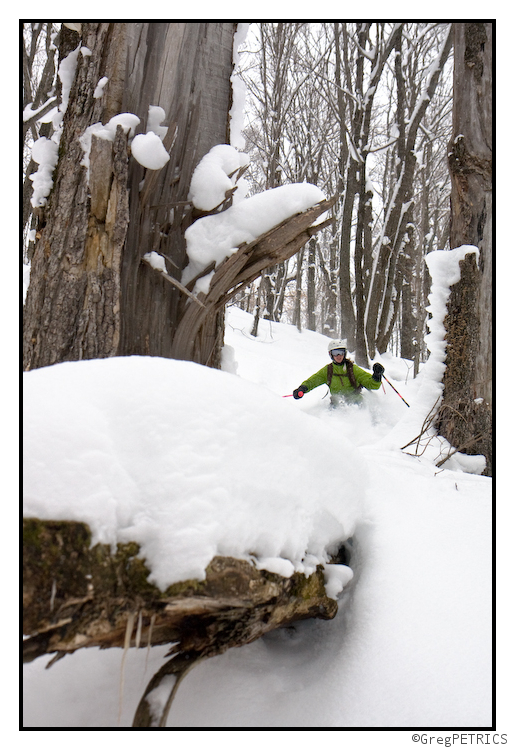 stumps under the snow in the Vermont Backcountry Ski Terrain