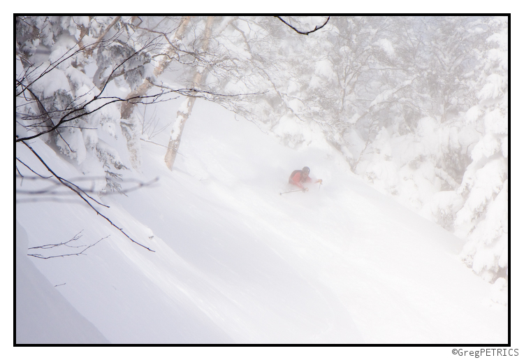 skiing powder snow in the fog