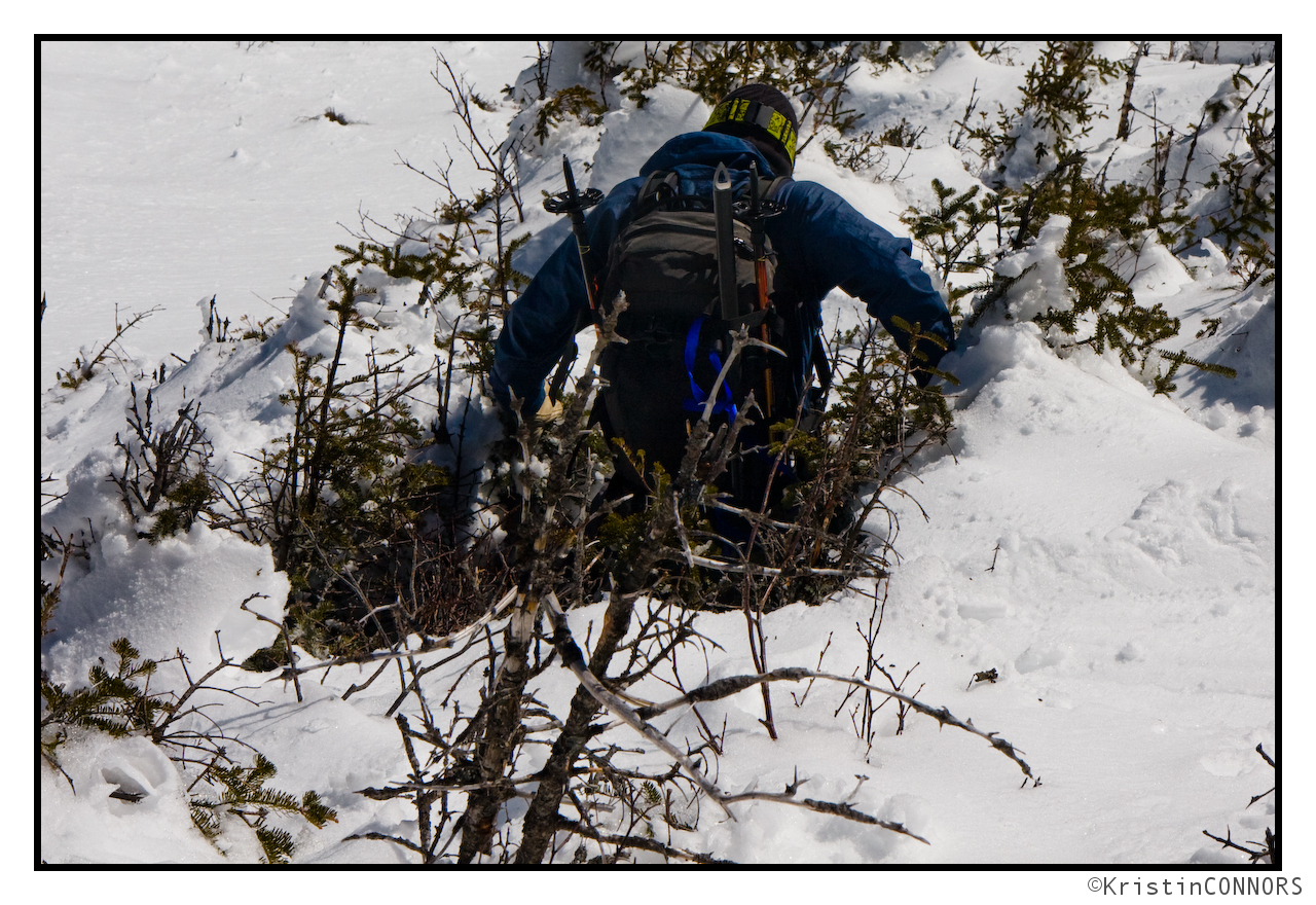 Christian falls in a treewell