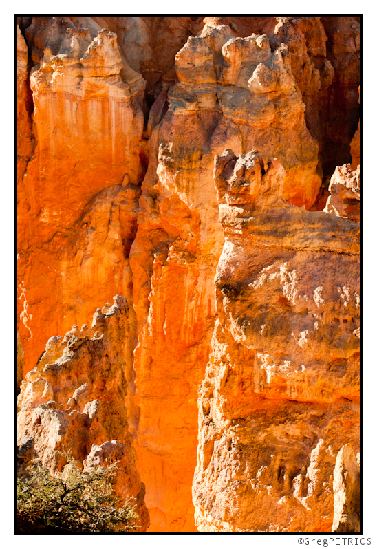 Bryce Canyon Rocks at Sunrise appear to be on fire
